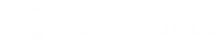 Envisuals Logo - Full white
